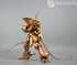 Picture of ArrowModelBuild Volks Knight of Gold Built & Painted 1/100 Model Kit, Picture 16