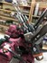 Picture of ArrowModelBuild Zoids Iron Kong PK Built & Painted Model Kit, Picture 7