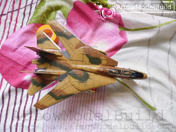 Picture of ArrowModelBuild F-14 Persian Cat (Custom Color) Built & Painted 1/72 Model Kit